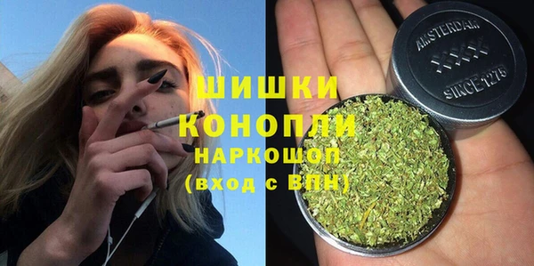 spice Горняк